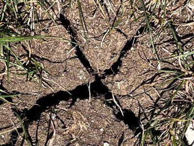 Foto: WALDPÄDAGOGIK auf der Burg Feuerstein / Ebermannstadt