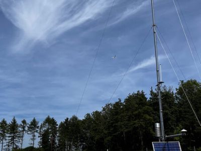 Foto: WALDPÄDAGOGIK auf der Burg Feuerstein / Ebermannstadt