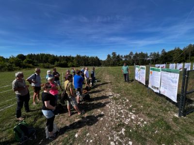 Foto: WALDPÄDAGOGIK auf der Burg Feuerstein / Ebermannstadt