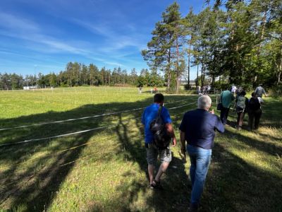 Foto: WALDPÄDAGOGIK auf der Burg Feuerstein / Ebermannstadt