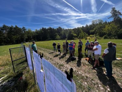 Foto: WALDPÄDAGOGIK auf der Burg Feuerstein / Ebermannstadt