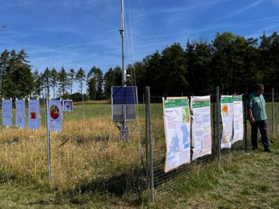 Foto: WALDPÄDAGOGIK auf der Burg Feuerstein / Ebermannstadt